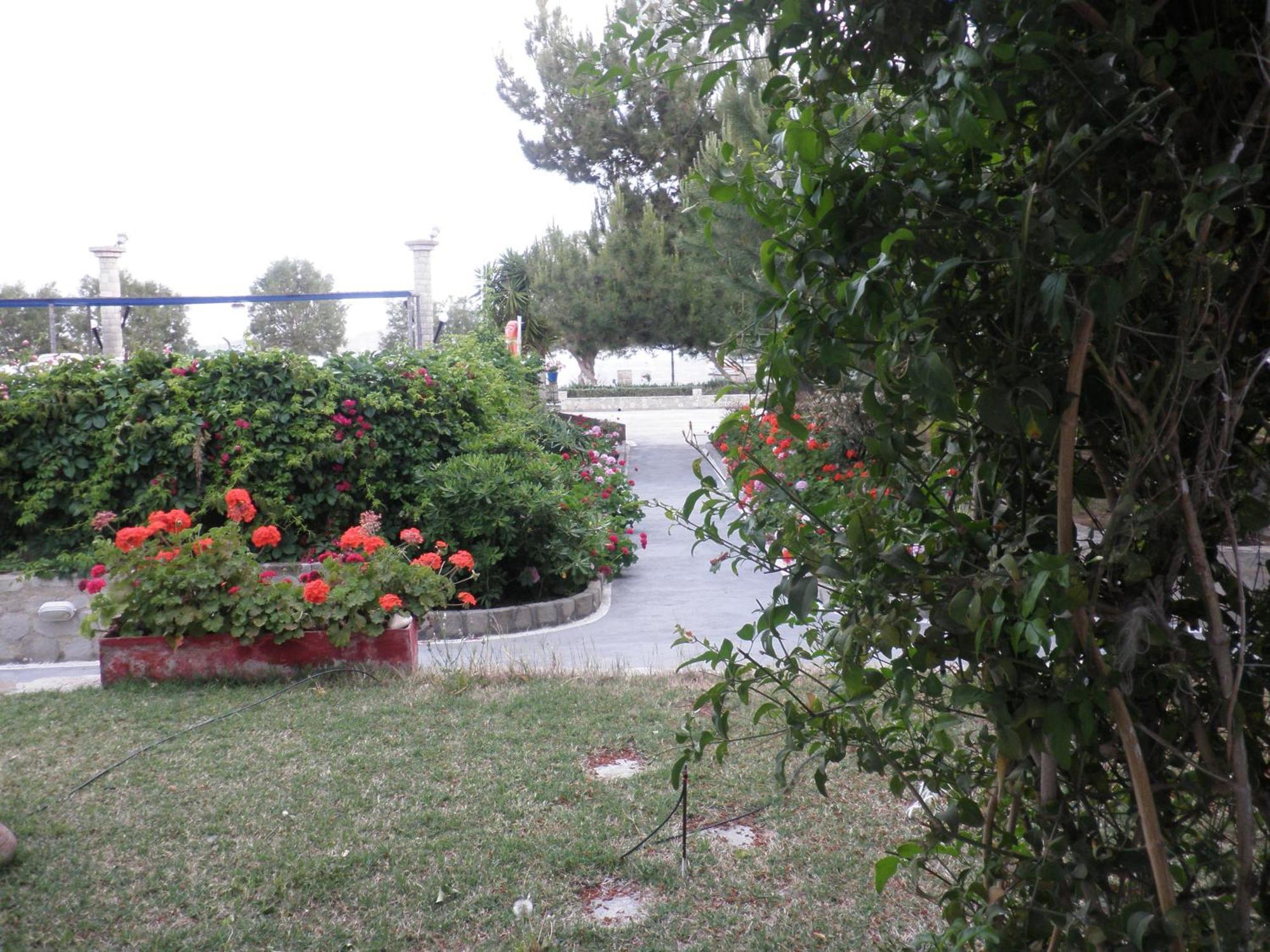 Lagada Beach Hotel Adamantas  Exterior foto